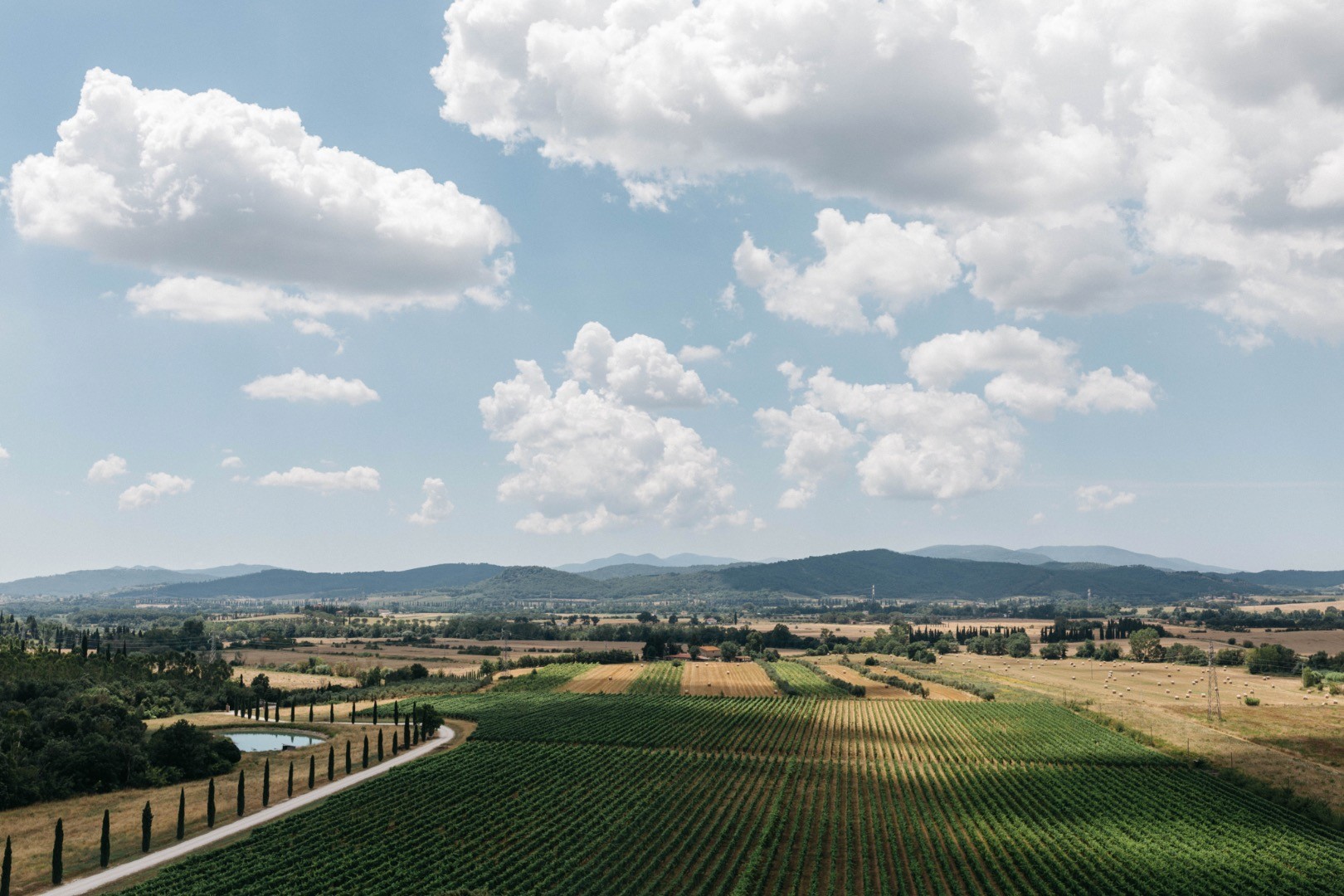 Getting married in Tuscany in autumn: a refined marriage among the nuances of wine